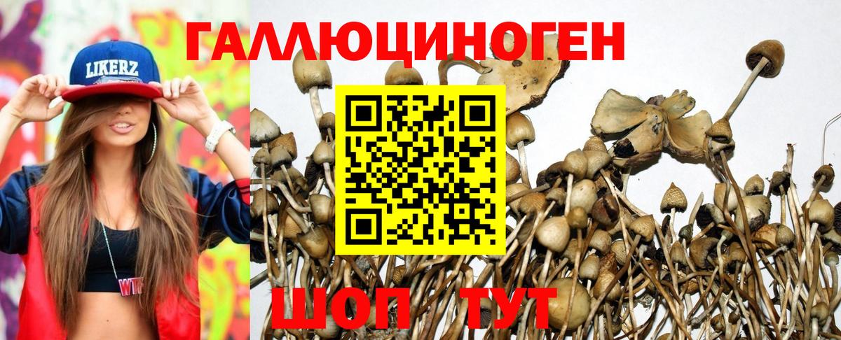 Галлюциногенные грибы GOLDEN TEACHER  Вход с VPN  Сокол  Галлюциногенные грибы ЛСД 