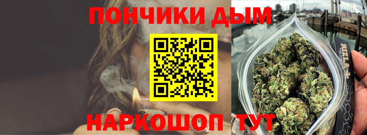 Шишки марихуана конопля Сокол